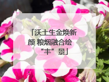 沃土生金焕新颜 粮烟融合绘“丰”景